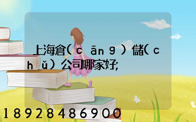 上海倉(cāng)儲(chǔ)公司哪家好