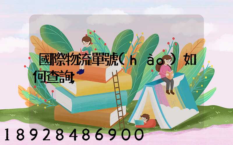 國際物流單號(hào)如何查詢