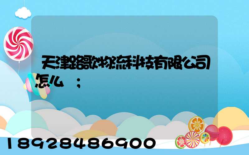 天津路歌物流科技有限公司怎么樣