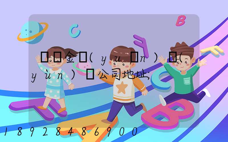 廈門金遠(yuǎn)運(yùn)輸公司地址
