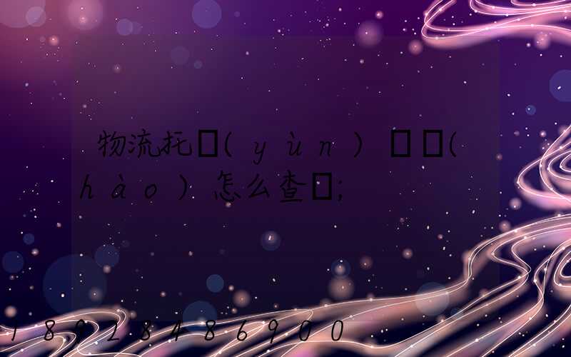 物流托運(yùn)單號(hào)怎么查詢