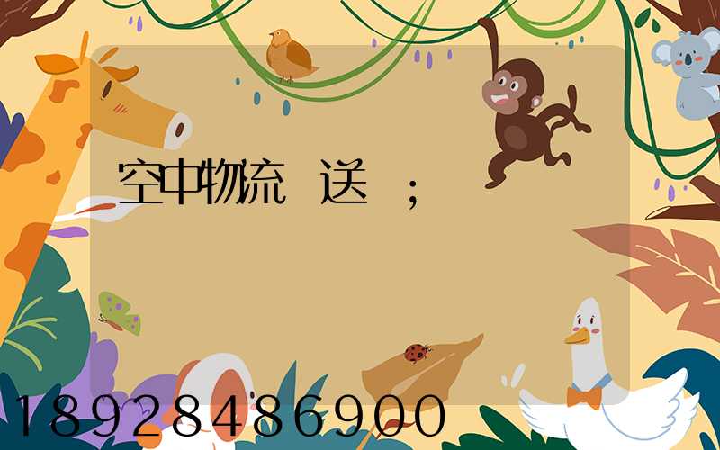 空中物流輸送線
